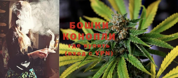 спиды Новодвинск