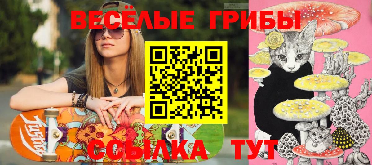Псилоцибиновые грибы Psilocybine cubensis Электросталь